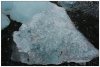 6/islande skatfatell iceberg 77 (Small).jpg